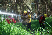 Con despliegue en distintos sectores del parque se practicaron técnicas de combate de incendios