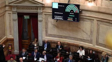 Senado: la oposición dejó sin efecto el veto de Milei y reactivó la ley de emergencia en discapacidad