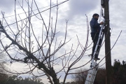 Refuerzo de seguridad con nuevas cámaras en el interior del distrito