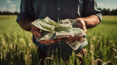 De cada tres barcos cargados con soja, dos se los queda el sector público