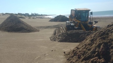 Realizaron un operativo para retirar las algas marinas en la playa de Quequén