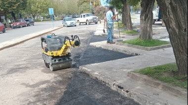Se efectuaron tareas de bacheo, poda y señalización en bulevares del microcentro