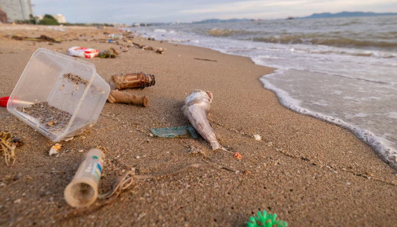 La Provincia se une al CONICET y a una red internacional para monitorear el estado de la Costa Atlántica
