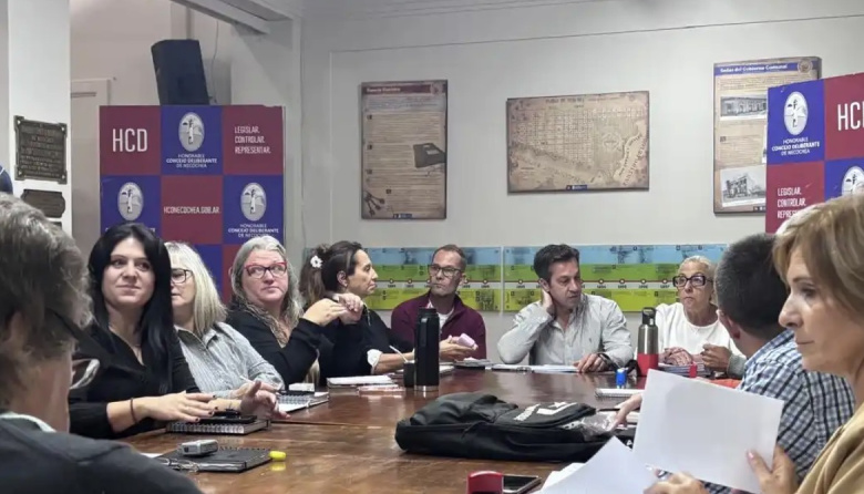 El Concejo busca consensuar un único proyecto para declarar la emergencia en salud