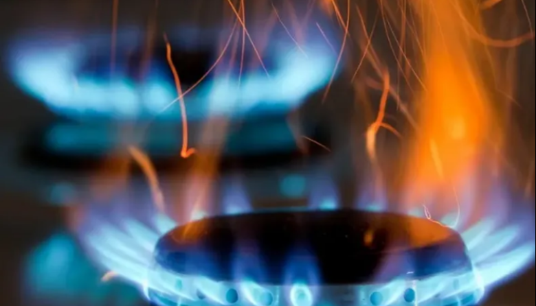 Subsidios al gas: legisladores piden garantizar la continuidad de Zona Fría