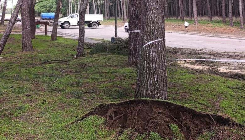 Reportan tareas preventivas en la costa y zonas del distrito, pero no hay heridos ni nuevos evacuados