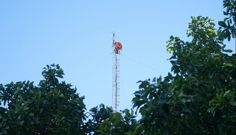 Comenzó el desmantelamiento de una torre fuera de servicio como paso previo a la reparación del techo del municipio