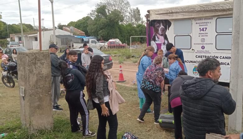 Este sábado la jornada gratuita de castración masiva llega a Quequén