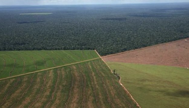 El oficialismo dictaminó la restitución de la Ley de Tierras y busca frenar el rechazo al DNU de Milei