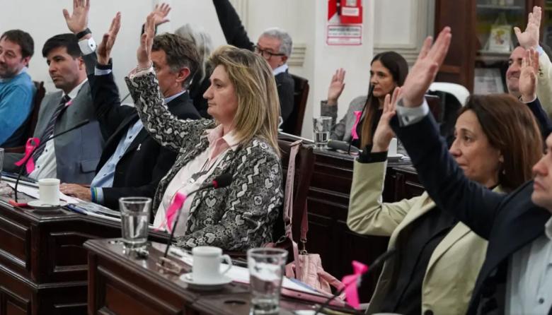 El Concejo aprobó por unanimidad el nuevo pliego de colectivos
