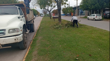 El Municipio intensifica tareas de limpieza y mantenimiento en distintos puntos de la ciudad