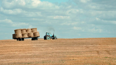 Situación del campo en Necochea: A pesar de la humedad, la producción se mantiene positiva