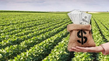 Es oficial la baja de las retenciones al campo: todos los detalles