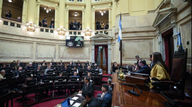 Presupuesto 2026: cuáles son los artículos que la oposición buscará eliminar en el Senado