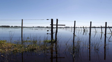Baja el agua en Necochea, pero aún quedan 7.500 hectáreas afectadas y el INTA pierde personal clave