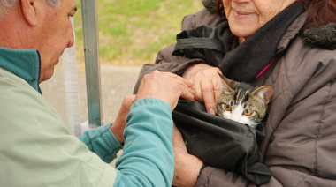 Se abrió una búsqueda laboral para incorporar un/a veterinario/a a Bromatología