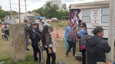 Este sábado la jornada gratuita de castración masiva llega a Quequén