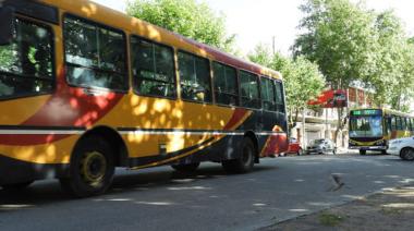 Caos en el transporte: este lunes no habrá colectivos verdes y los azules funcionarán con demoras por una asamblea