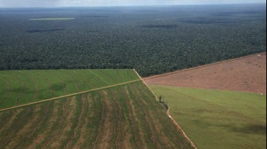 El oficialismo dictaminó la restitución de la Ley de Tierras y busca frenar el rechazo al DNU de Milei