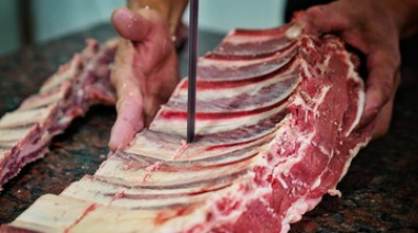 La venta de carne cayó hasta un 40% y los consumidores buscan alternativas más económicas