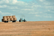 Situación del campo en Necochea: A pesar de la humedad, la producción se mantiene positiva