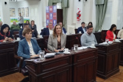 Turismo, luminarias y resoluciones: se desarrolló la séptima sesión ordinaria del HCD