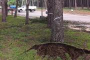 Reportan tareas preventivas en la costa y zonas del distrito, pero no hay heridos ni nuevos evacuados