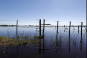 Baja el agua en Necochea, pero aún quedan 7.500 hectáreas afectadas y el INTA pierde personal clave