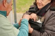 Se abrió una búsqueda laboral para incorporar un/a veterinario/a a Bromatología