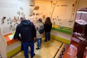 Museos: invitan a recorrer las salas y descubrir las muestras con los horarios especiales del receso invernal