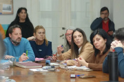 El Concejo tendría reuniones vía Zoom con las empresas interesadas en el transporte público de pasajeros en Necochea