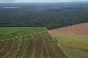 El oficialismo dictaminó la restitución de la Ley de Tierras y busca frenar el rechazo al DNU de Milei