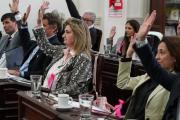 El Concejo aprobó por unanimidad el nuevo pliego de colectivos