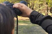 Turismo invita a participar de una nueva salida de observación de aves en el Parque Miguel Lillo