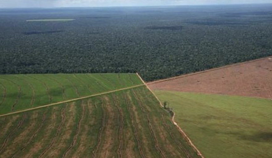 El oficialismo dictaminó la restitución de la Ley de Tierras y busca frenar el rechazo al DNU de Milei